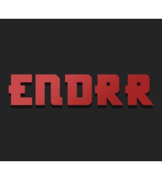 ENDRR Steam Key GLOBAL